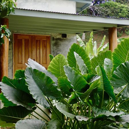 Casa Salvaje Vacation Rentals Bocas del Toro Exteriér fotografie