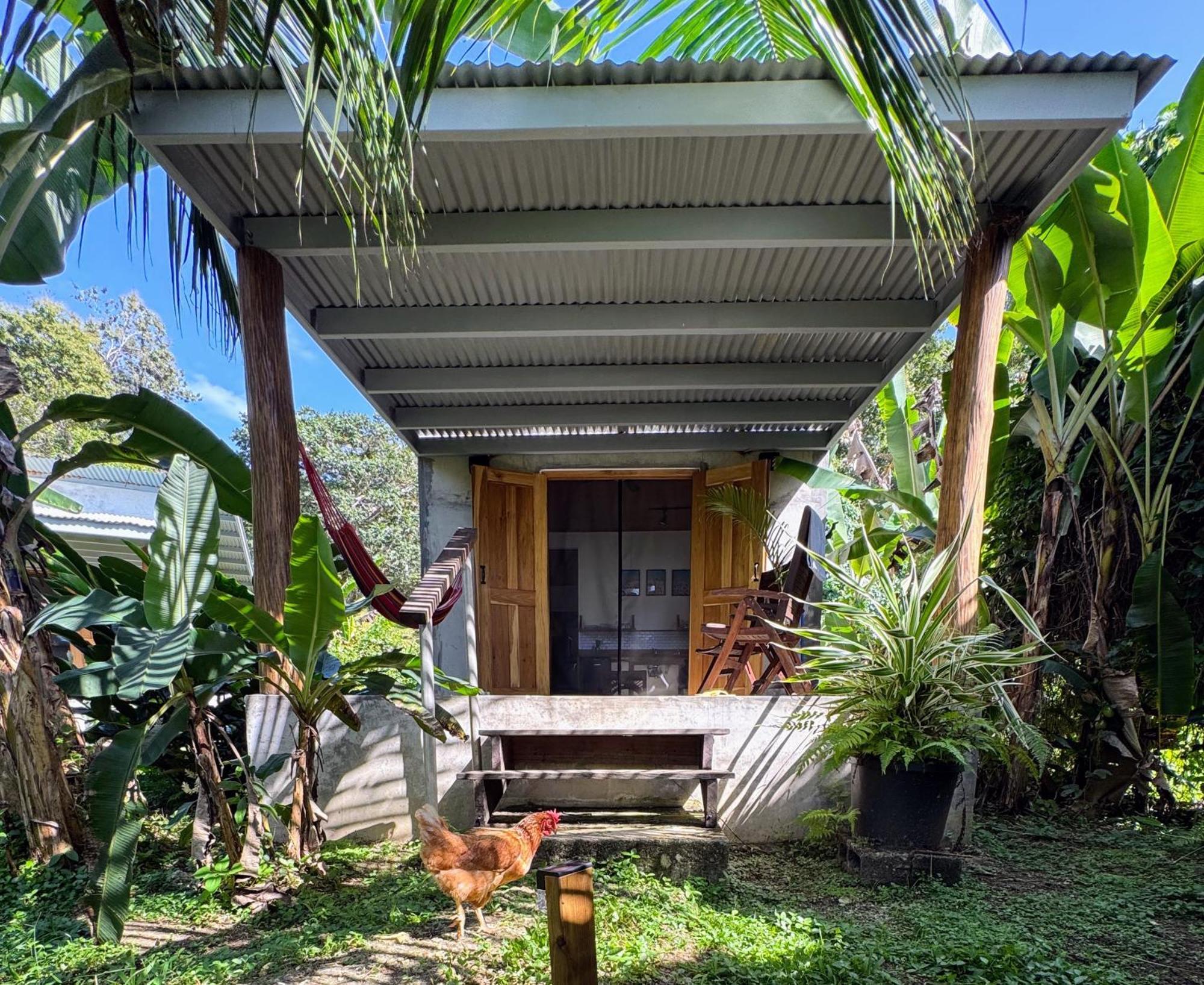 Casa Salvaje Vacation Rentals Bocas del Toro Exteriér fotografie