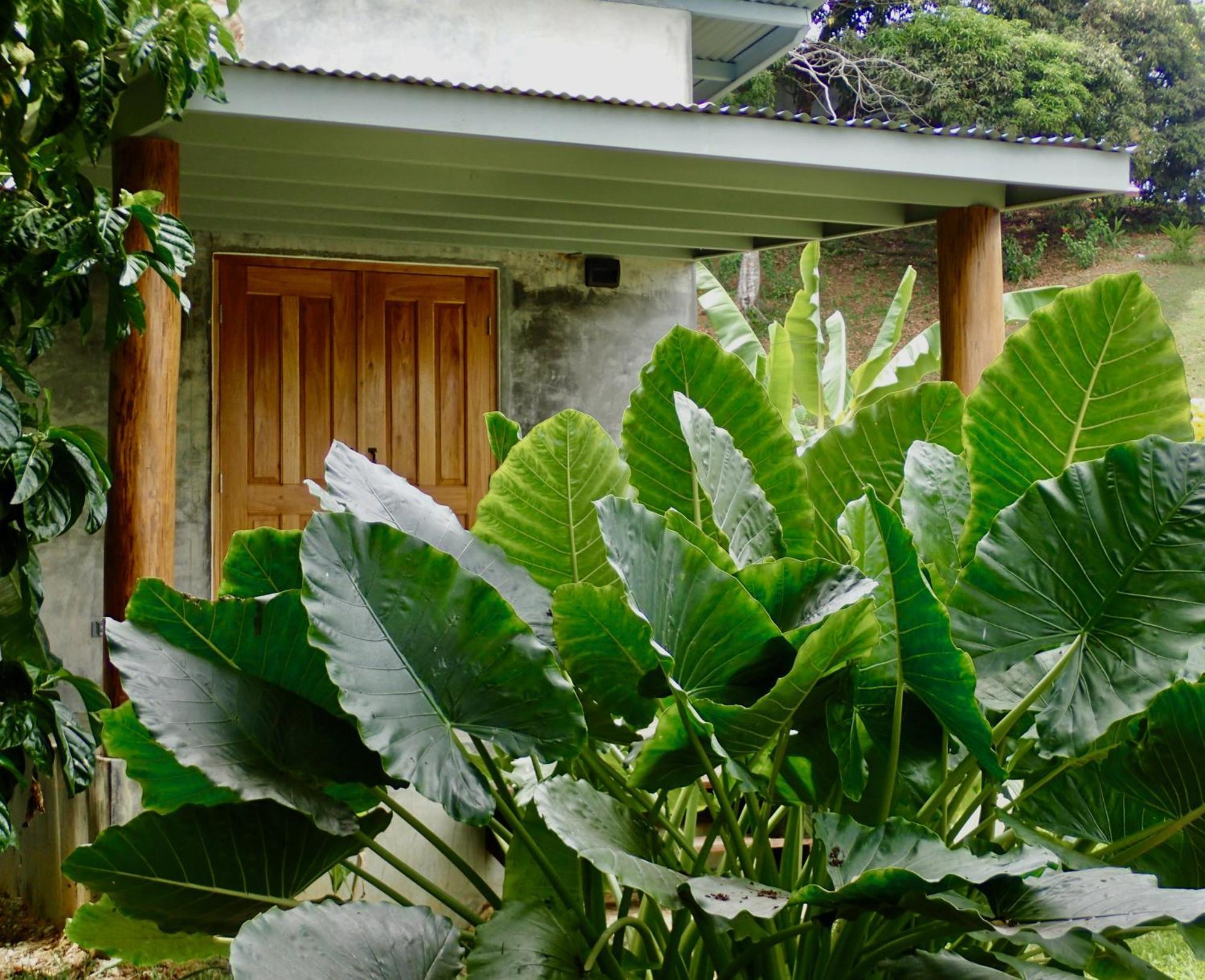 Casa Salvaje Vacation Rentals Bocas del Toro Exteriér fotografie